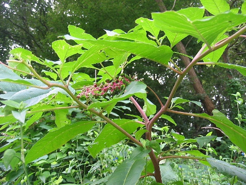 a0079880_233906.jpg