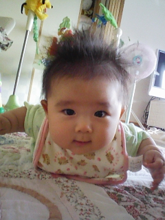 c0020681_12155612.jpg