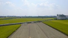 b0042882_23451797.jpg