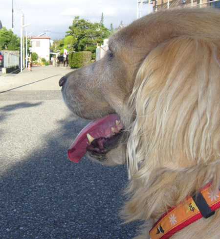 c0085188_22572012.jpg