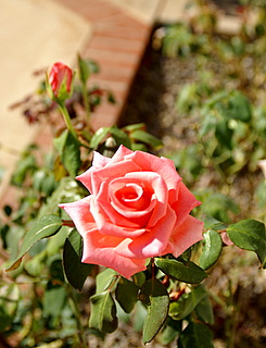 c0121289_2483936.jpg
