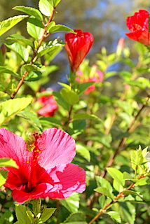 c0121289_248512.jpg