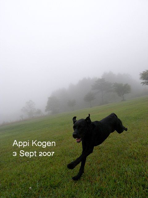 a0093592_2118959.jpg