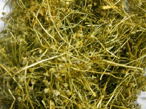 e0016095_121838.jpg