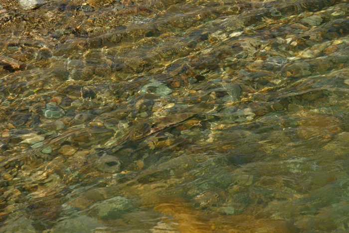 b0072697_17171175.jpg