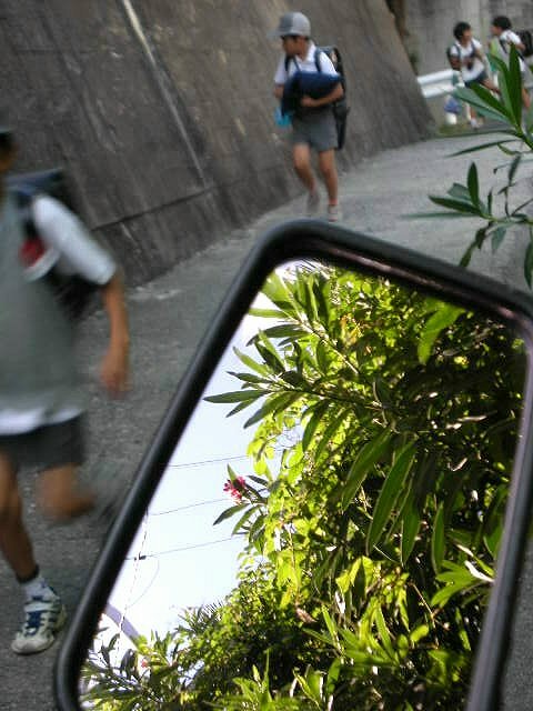 f0083400_1833812.jpg