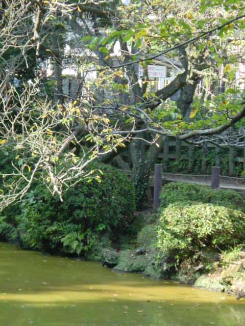 b0083902_11141488.jpg