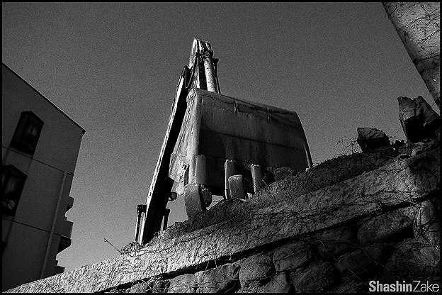 c0102003_19401476.jpg