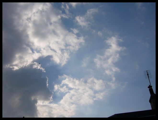 a0008105_7514587.jpg