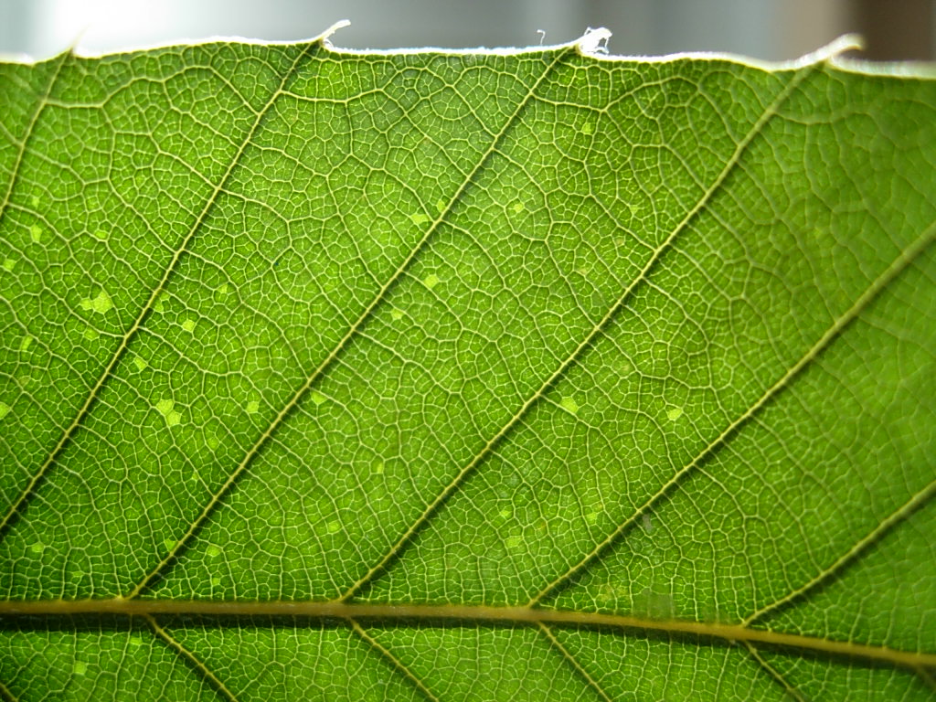 a0030205_2132640.jpg