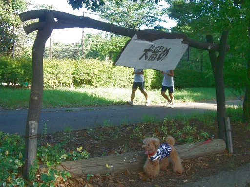 c0110906_20102053.jpg