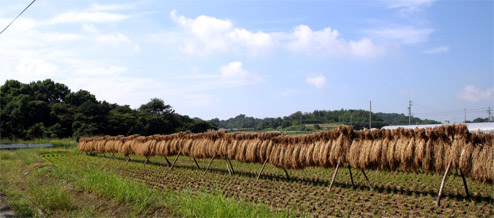 c0011009_1250884.jpg