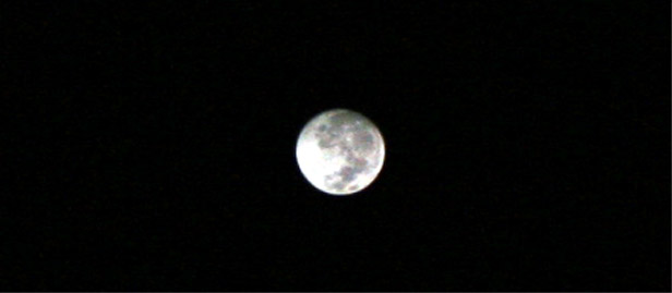 c0011009_13362233.jpg