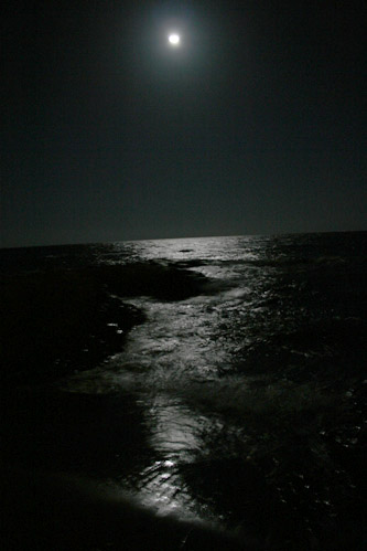 c0011009_13372789.jpg