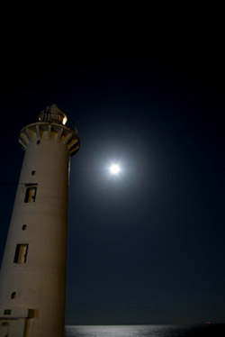 c0011009_134934.jpg
