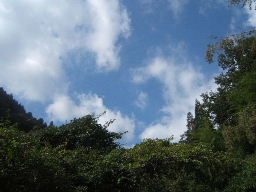 f0079411_2127468.jpg