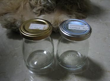 a0064213_227461.jpg