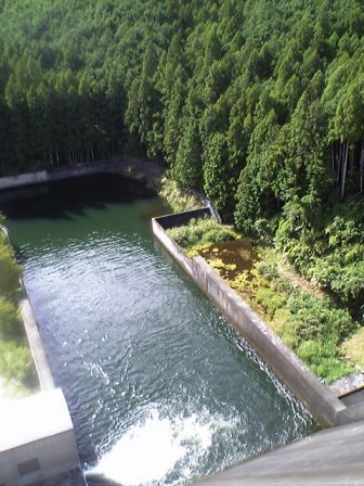 e0119017_0315056.jpg