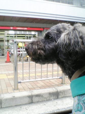 e0119017_1155759.jpg