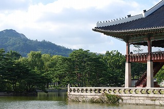 f0011322_1521838.jpg