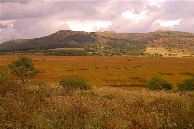 f0040525_202288.jpg