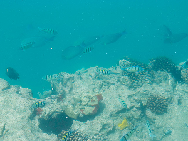 b0085526_9403790.jpg