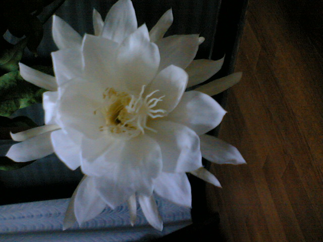 f0132327_0172958.jpg
