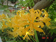 a0030639_2264980.jpg