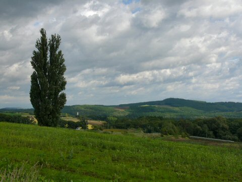 f0068341_1433116.jpg