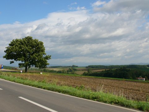 f0068341_14464115.jpg