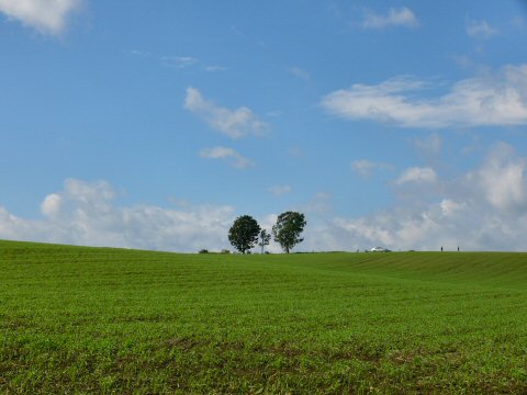 f0068341_1448861.jpg