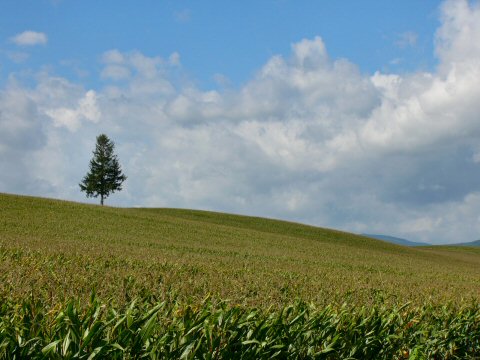 f0068341_14491142.jpg