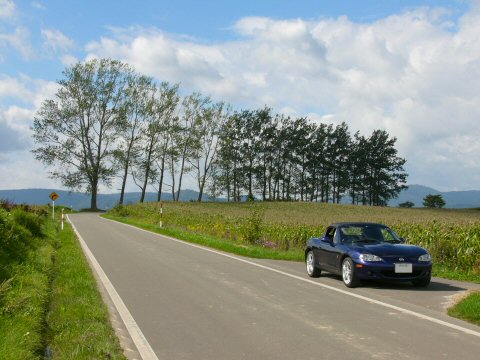 f0068341_14494139.jpg