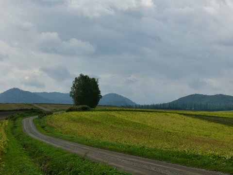 f0068341_1451152.jpg