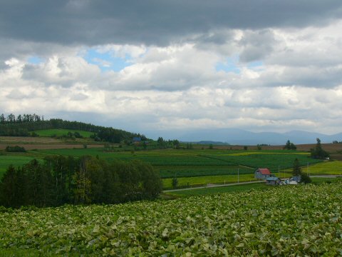 f0068341_15384819.jpg