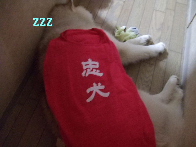 e0121548_2011515.jpg