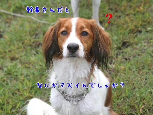 d0013149_0524649.jpg
