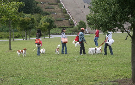 d0013149_0563077.jpg