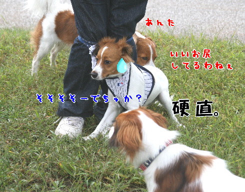 d0013149_230541.jpg