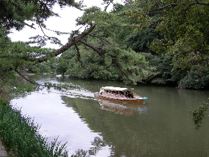 a0003150_11171588.jpg