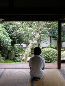 a0003150_1119030.jpg
