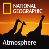c0003752_15342050.jpg