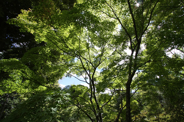 e0122855_21372399.jpg