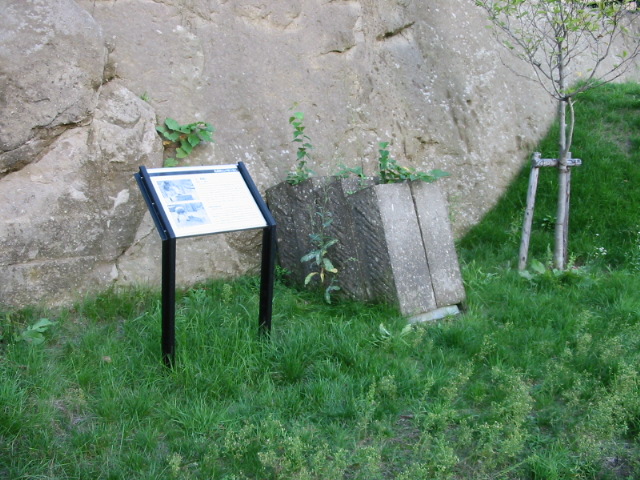 f0122259_22225096.jpg