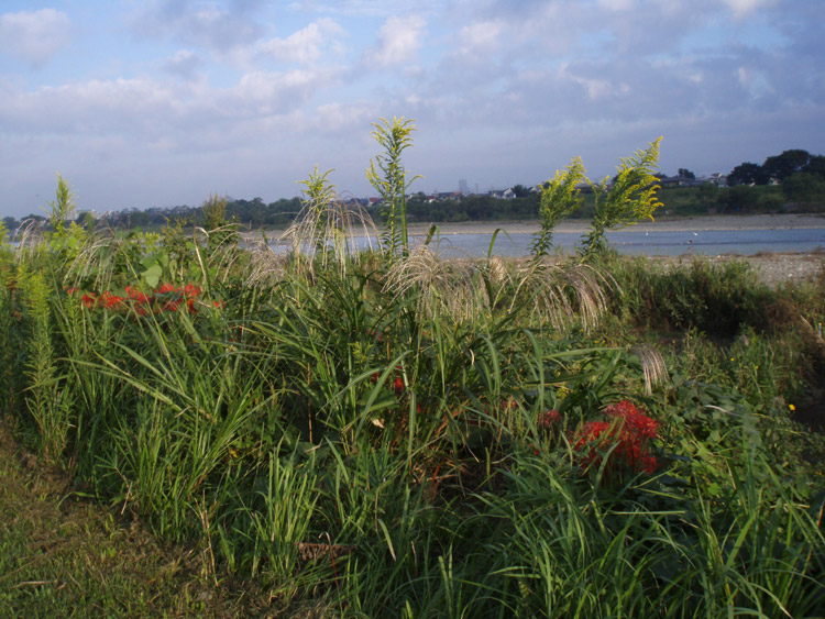 c0110361_122177.jpg