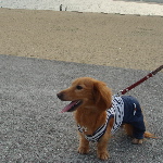 f0089568_2235154.jpg