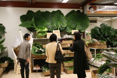 c0072971_1412344.gif