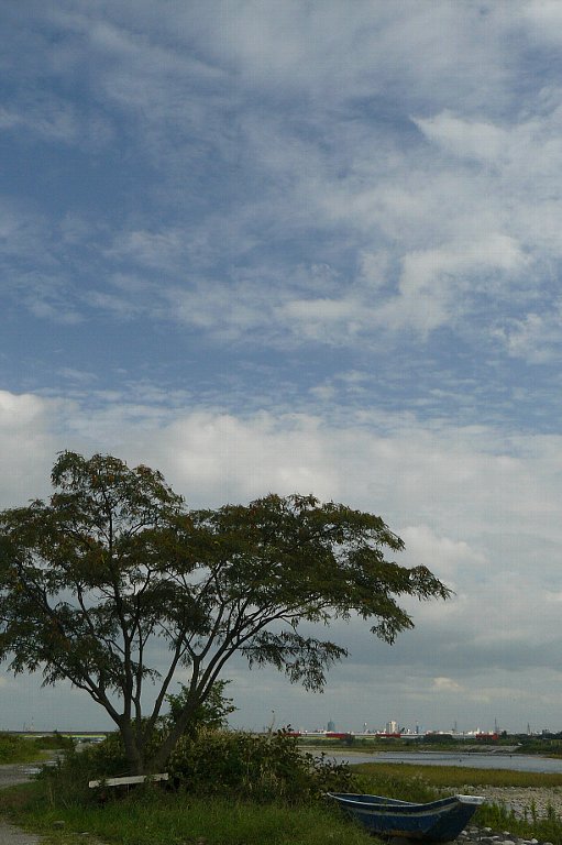 a0096177_21232084.jpg