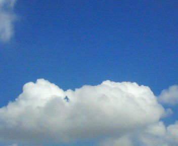 c0058978_2305896.jpg