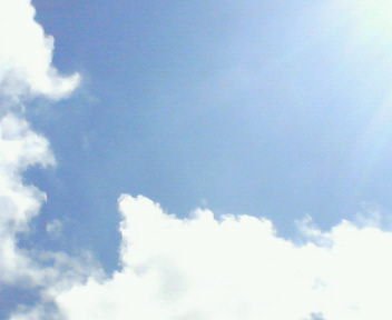 c0058978_2353219.jpg